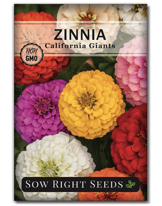 packet of zinnia seeds