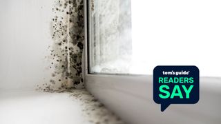 Mold spores on a windowsill, with a 'Tom's Guide Readers Say' image overlaid