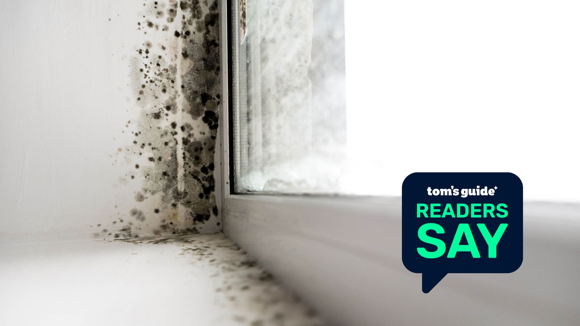 Mold spores on a windowsill, with a 'Tom's Guide Readers Say' image overlaid