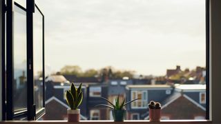 Open window with houses in view, three cacti sitting on the window sill