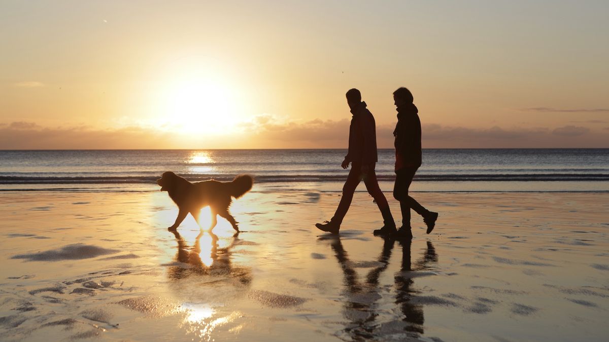 couple hiking on beach with dog