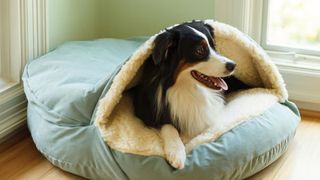 Snoozer Luxury Cozy Cave dog bed