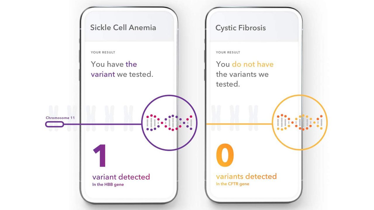 23andMe DNA test review
