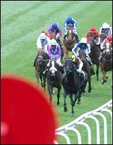 racepsomderby.jpg