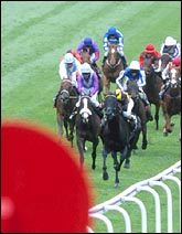 racepsomderby.jpg