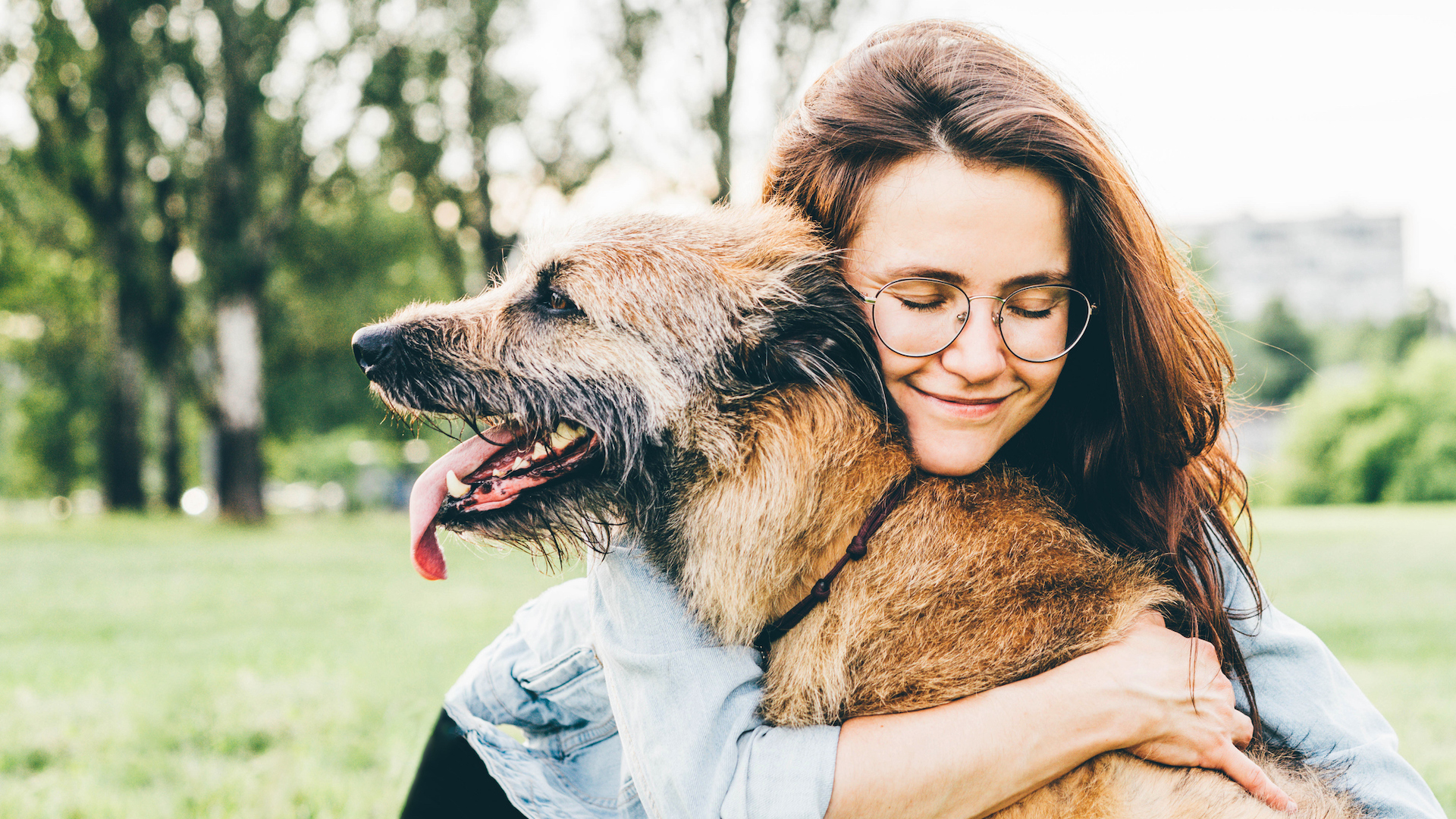 Dog and woman hugging