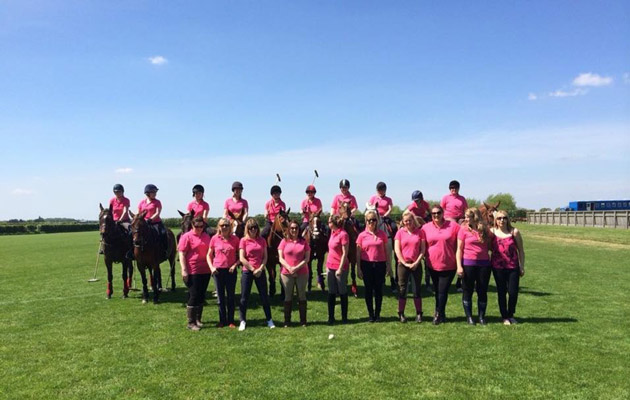 horsehenpolopink