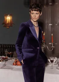 Hobbs Heather velvet jacket