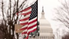 Photograph of a broken American flag with the US capitol in the background