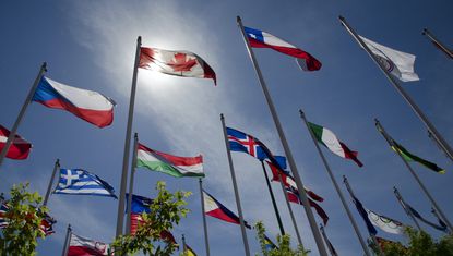 Calgary Olympic flags