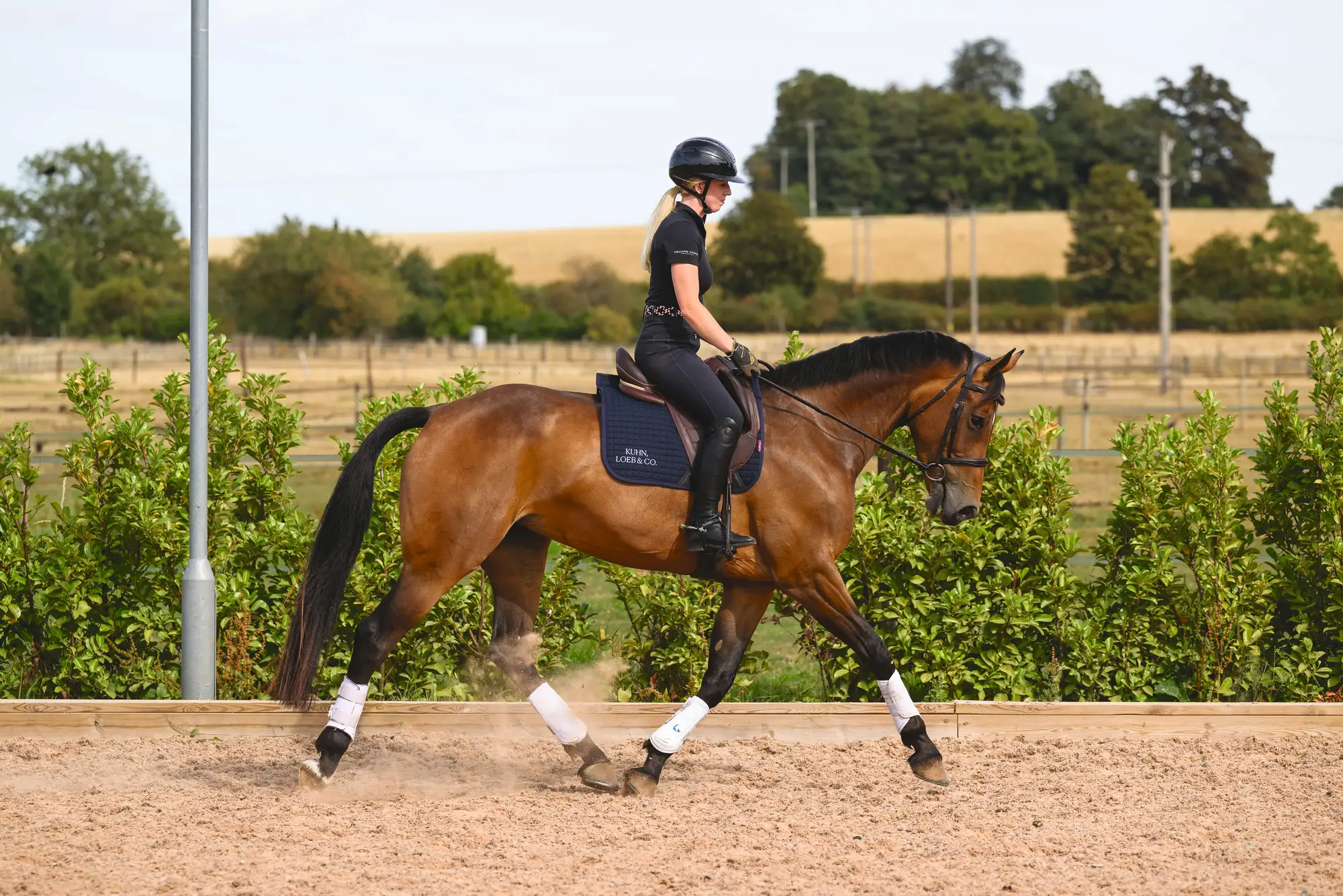 Cerys Macaulay schools bay mare Odelia at home