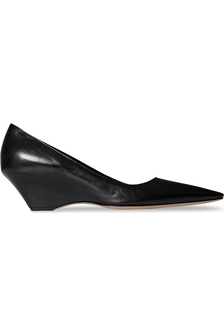 Liisa Wedge Pump