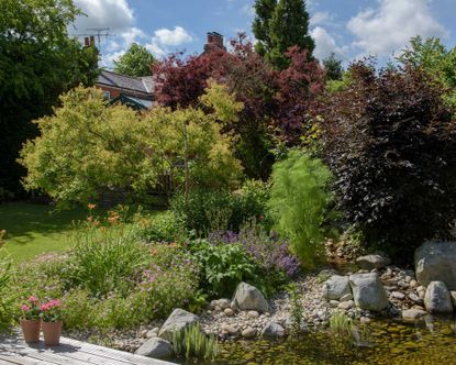 Wildlife pond edging ideas: 10 nature-friendly designs for your ...