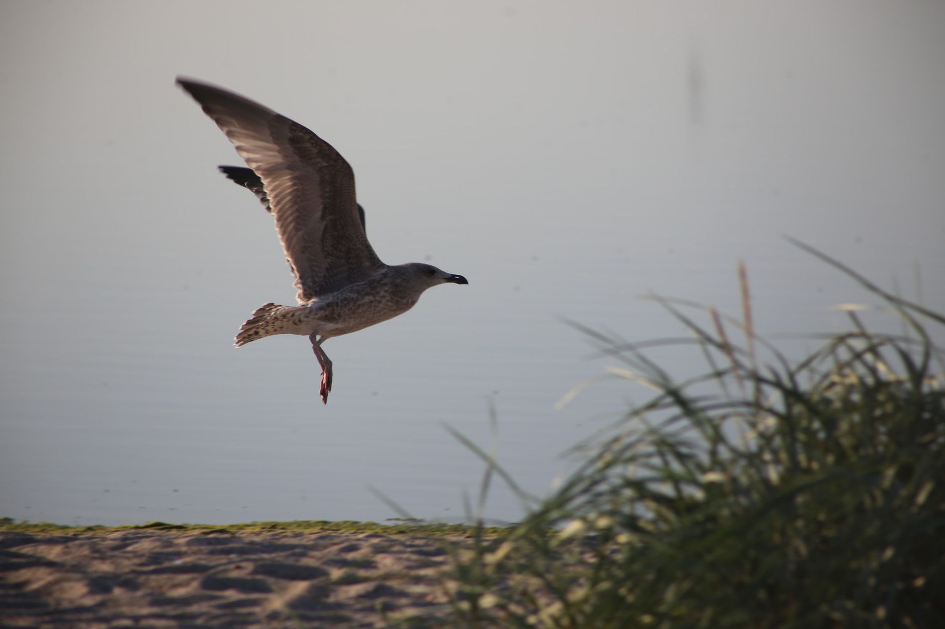 GuruShots - Nature&rsquo;s Masterpiece 2026