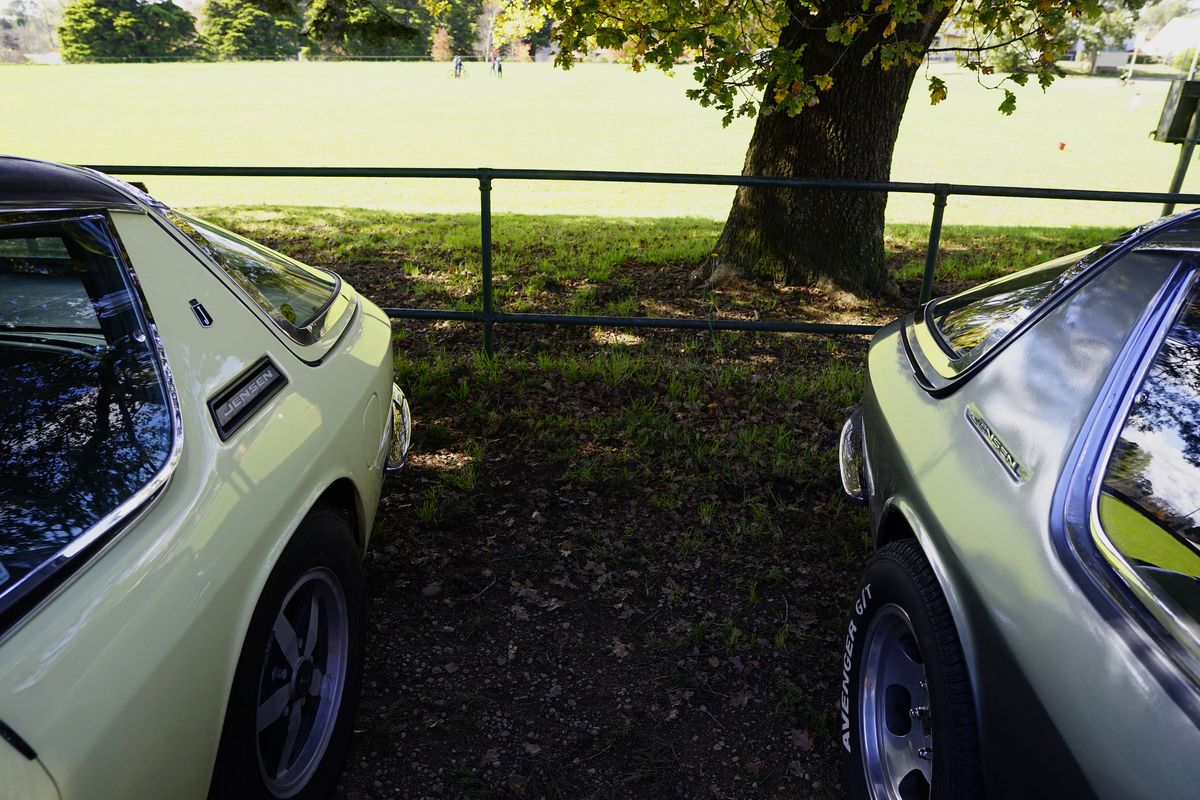 A tree framed between two light green classic cars