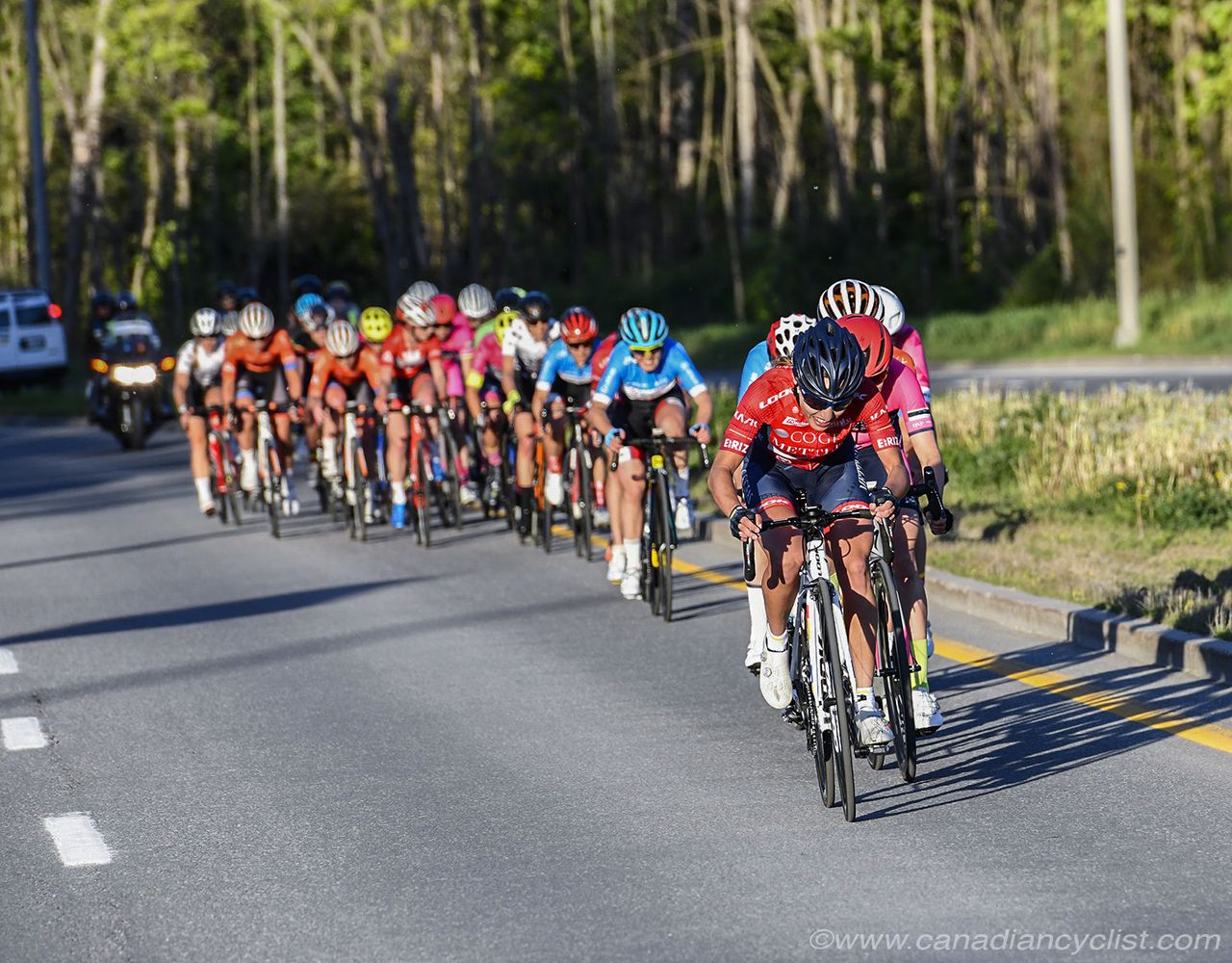 Lead group