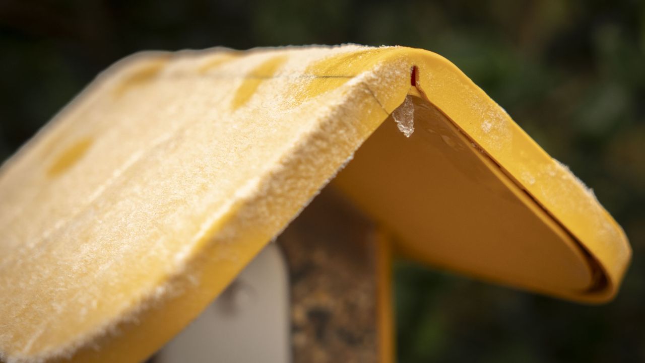 Bird Buddy smart Bird Feeder Pro