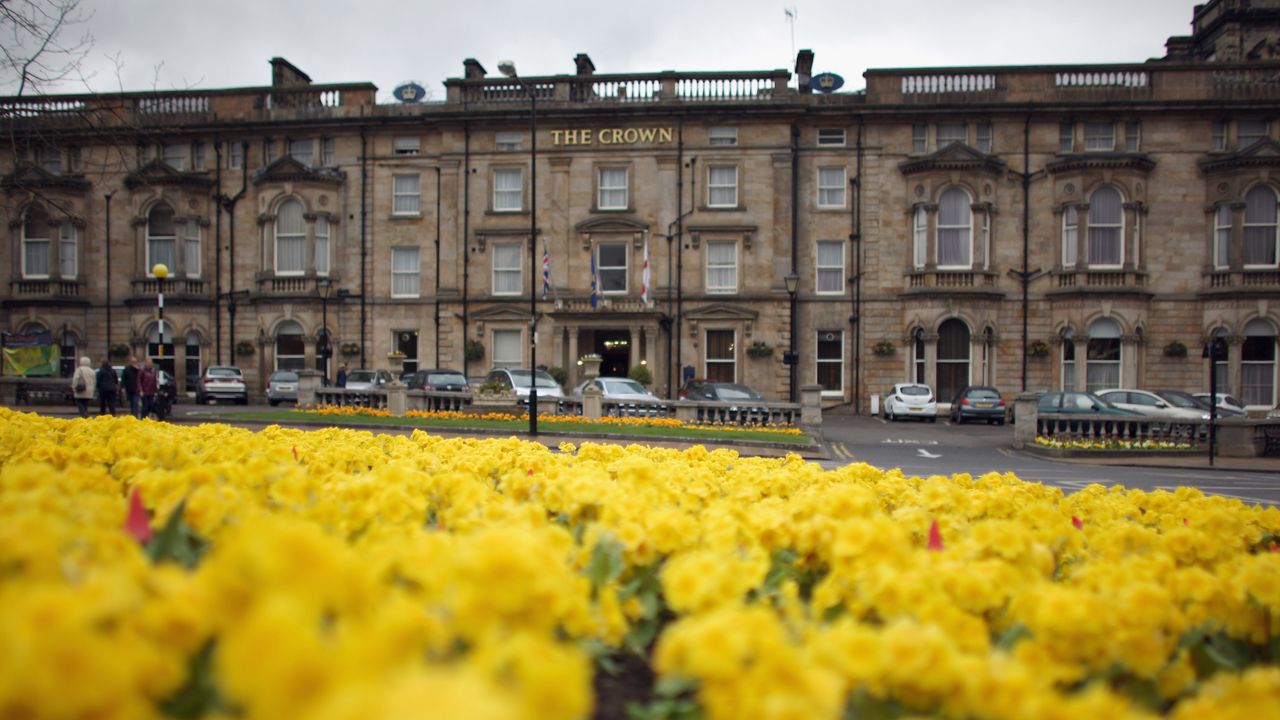 Yellow spring flowers in the Spa town of Harrogate