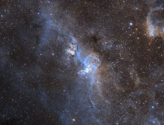 Where sulphur signifies spawning (NGC 3603 + NGC 3576). Two bright knots of nebulosity influence one another 9,000 light-years from us in the Carina constellation. A signature of Sulphur tells a story of successive episodes of star formation here. NGC 3603, the "upper" whorl in this image, contains a cluster of some of the brightest and most massive stars seen from Earth. The lower NGC 3576 reveals two dark condensing clouds where "proplyds" — infant stars — may be gestating. Both nebulae show concentrations of unusually heavy elements, deposited by "evolved," later-generation stars. Celestron RASA 8 w/ ZWO1600MM camera. Ha x 33 — 60s Sii x 21 — 60s Oiii x 20 — 60s Total Integration Time: 74 minutes