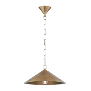 A brass chain link pendant light