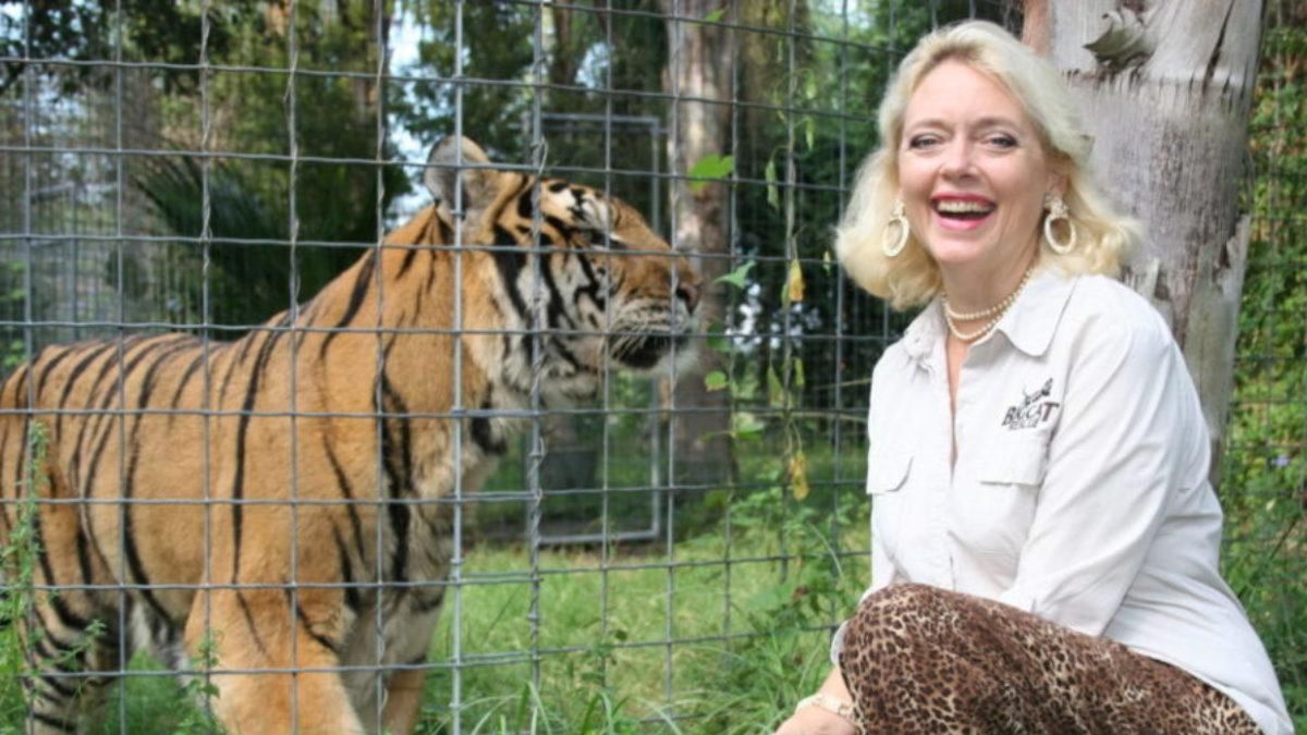 Tiger King sequel from Investigation Discovery to examine Carole Baskin all...
