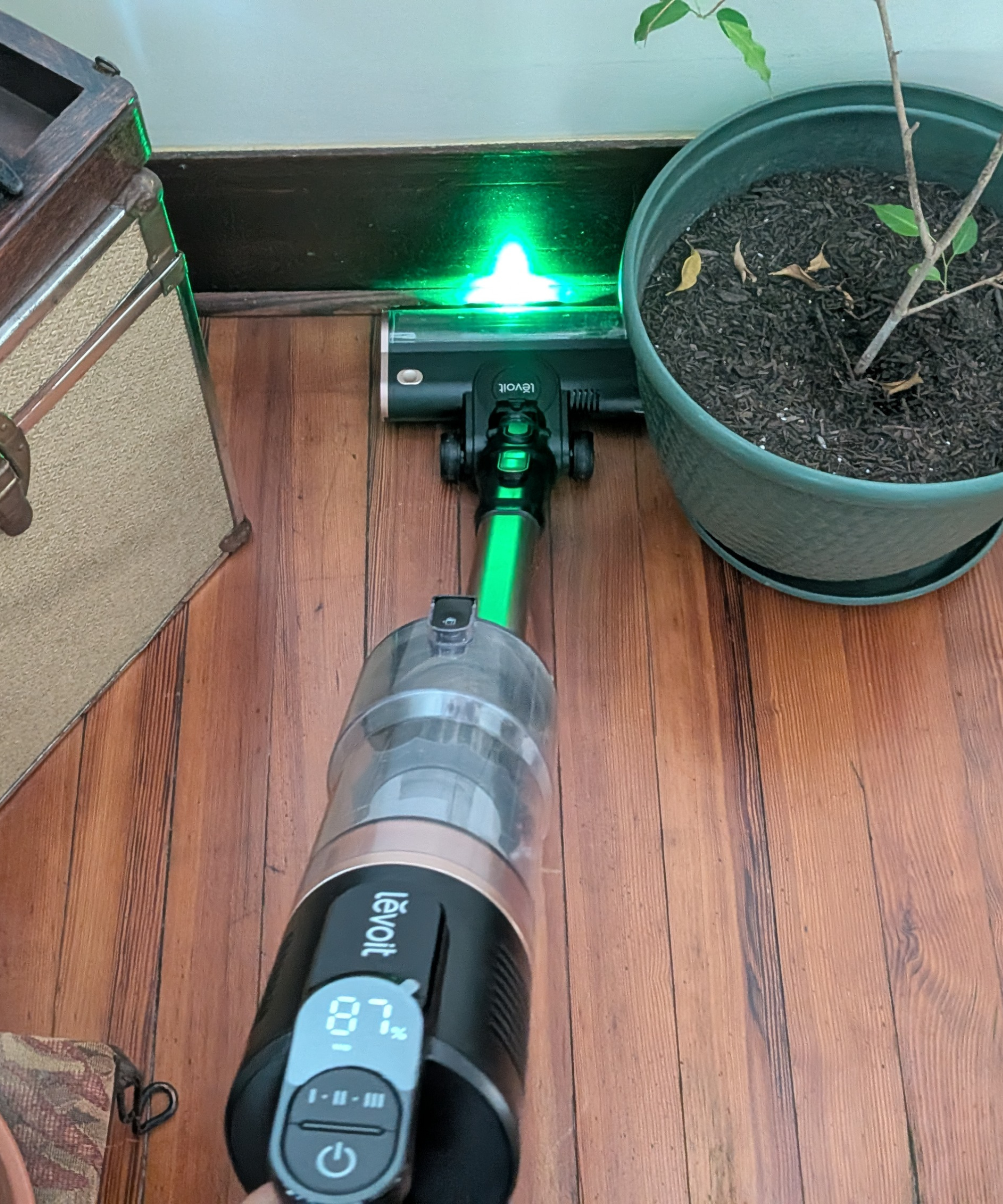 The Levoit VortexIQ Pro cordless stick vacuum is vacuuming historic hardwood floor between a plant and a box.