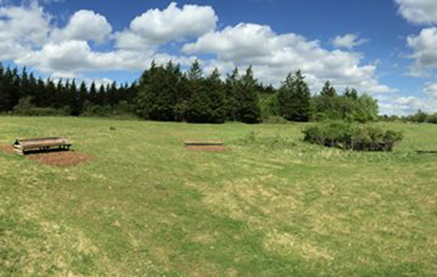 Great Westwood 4