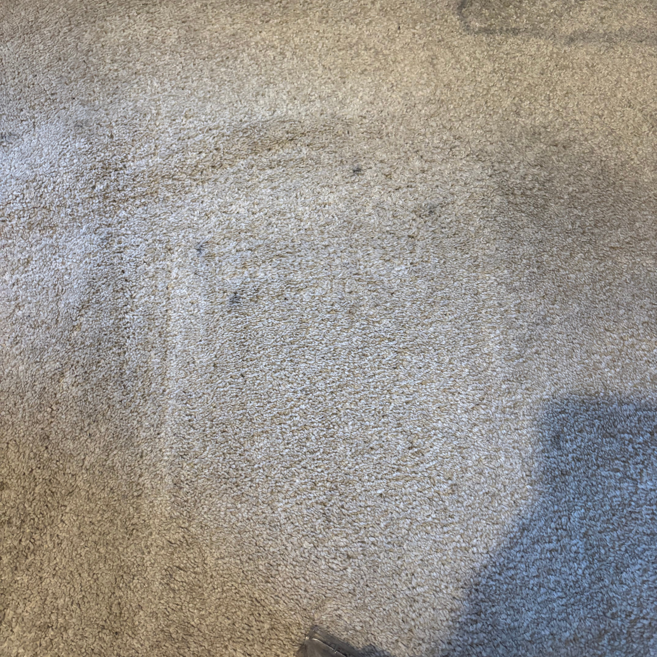 carpets after using Rug Doctor Deep Upright Carpet Cleaner