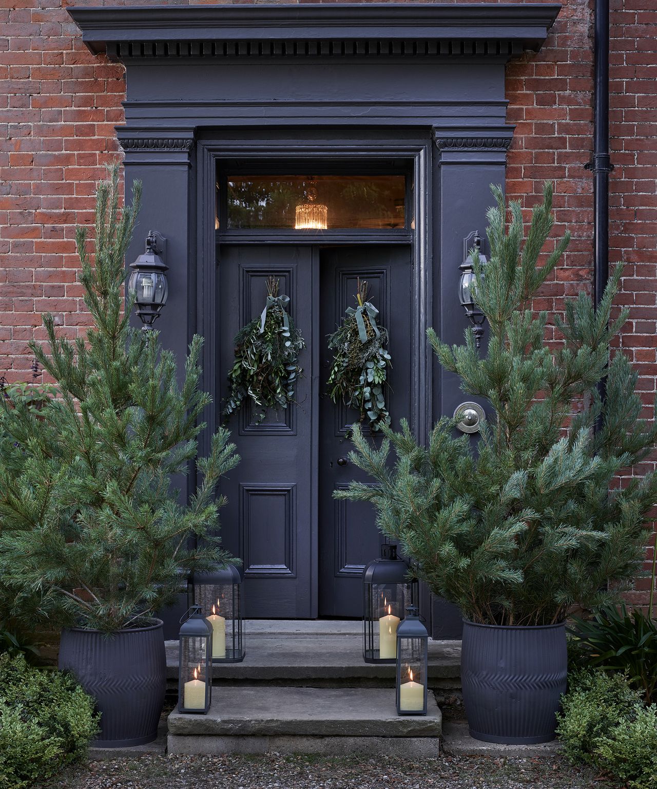 How to care for a Christmas tree Homes & Gardens