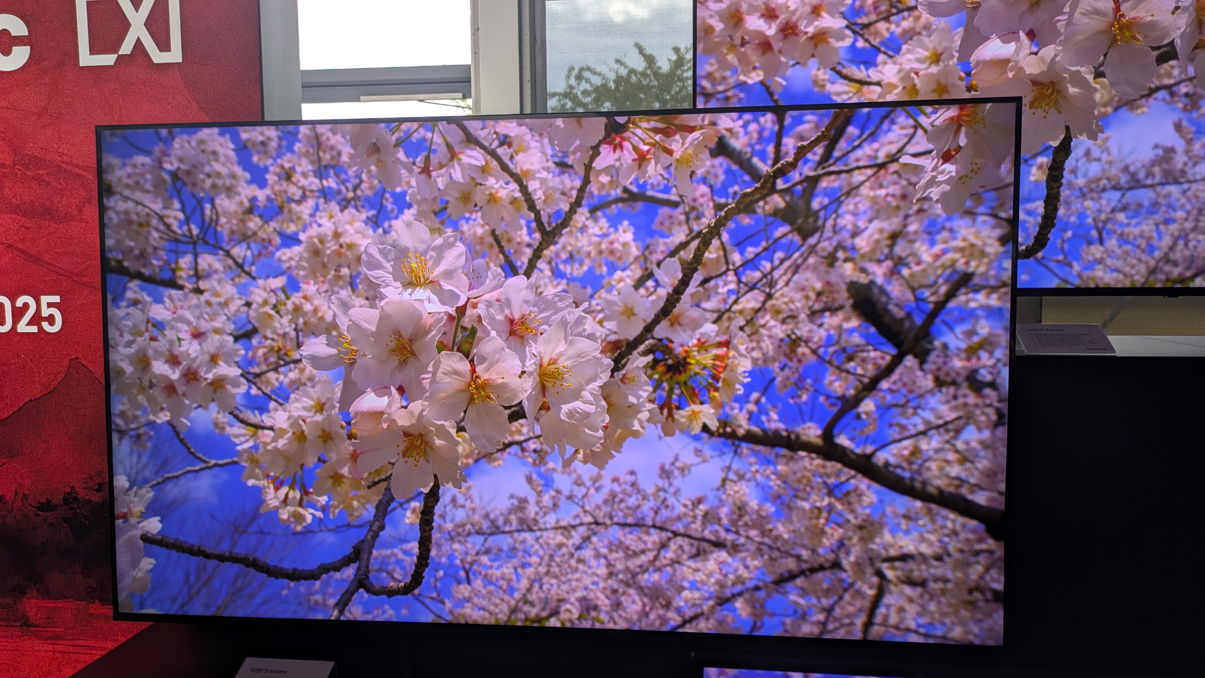 Panasonic W95B mini-LED TV with flower and tree on screen