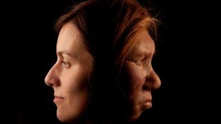 The Neanderthal woman was re-created and built by Dutch artists Andrie and Alfons Kennis. They used replicas of a pelvis and cranial anatomy from Neanderthal females for authenticity. The Neanderthal woman is shown here in comparison to a modern female.