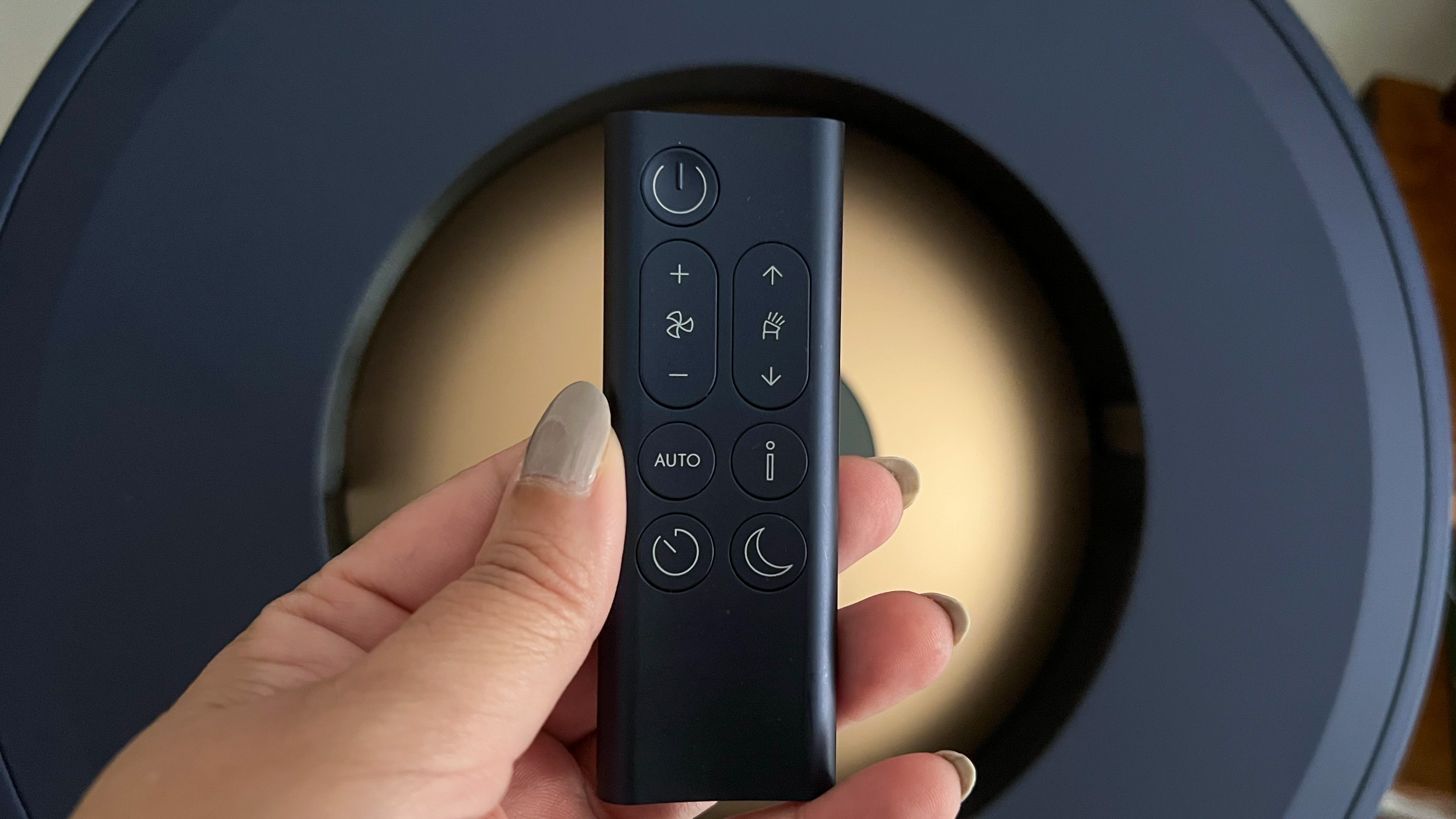 The small remote control of the Dyson Purifier Big+Quiet Formaldehyde