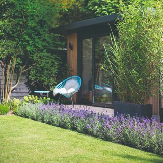 Garden with a row of lavender and a garden chair