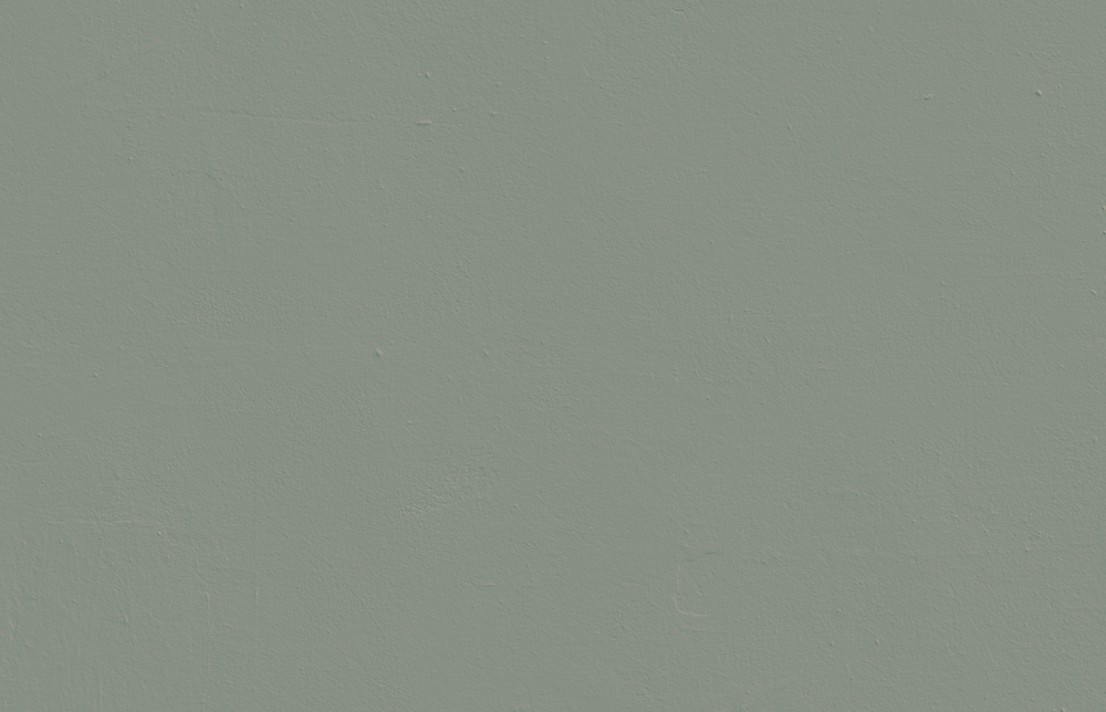 Green 02: Sage Green Paint - Peel & Stick Paint Sample