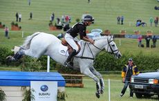 HorseNo125_Barbury15pn_26348.jpg