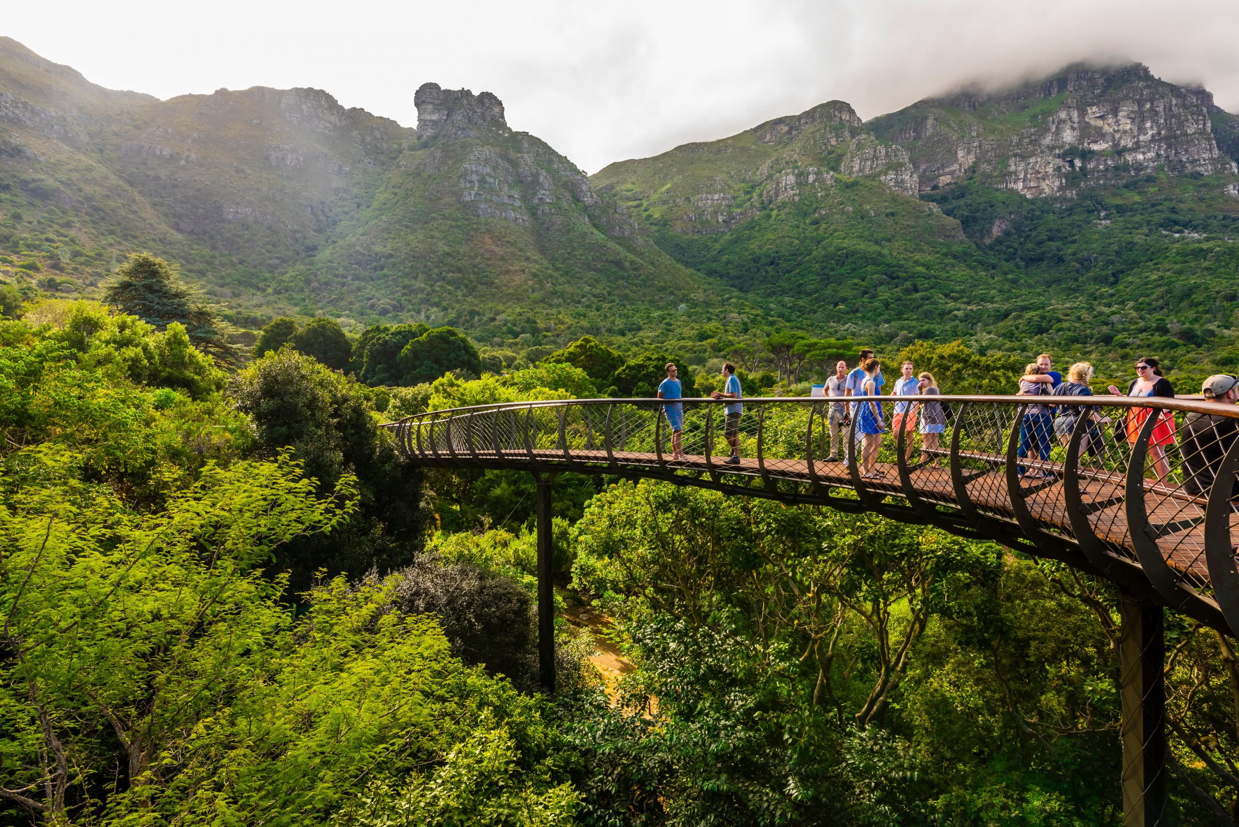 Alan Titchmarsh Why Kirstenbosch Is The Gardener s Garden Country Life Alan Titchmarsh Why Kirstenbosch Is The Gardener s Garden Country Life