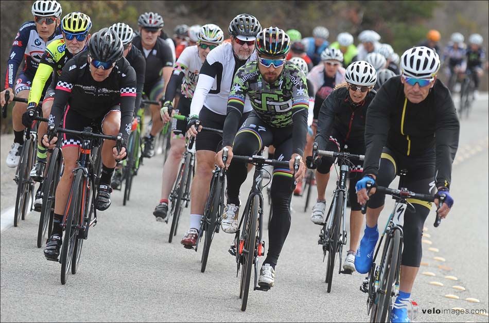 Peter Sagan leads the way on his charity ride