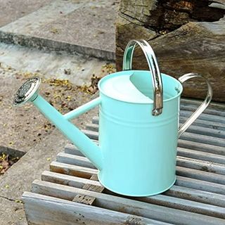 Watering Can - Metal Watering Can with Removable Spout, Perfect Watering Can for Plants