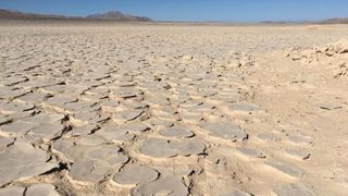 Cracked desert soil in the Yungay Valley region of the Atacama Desert.