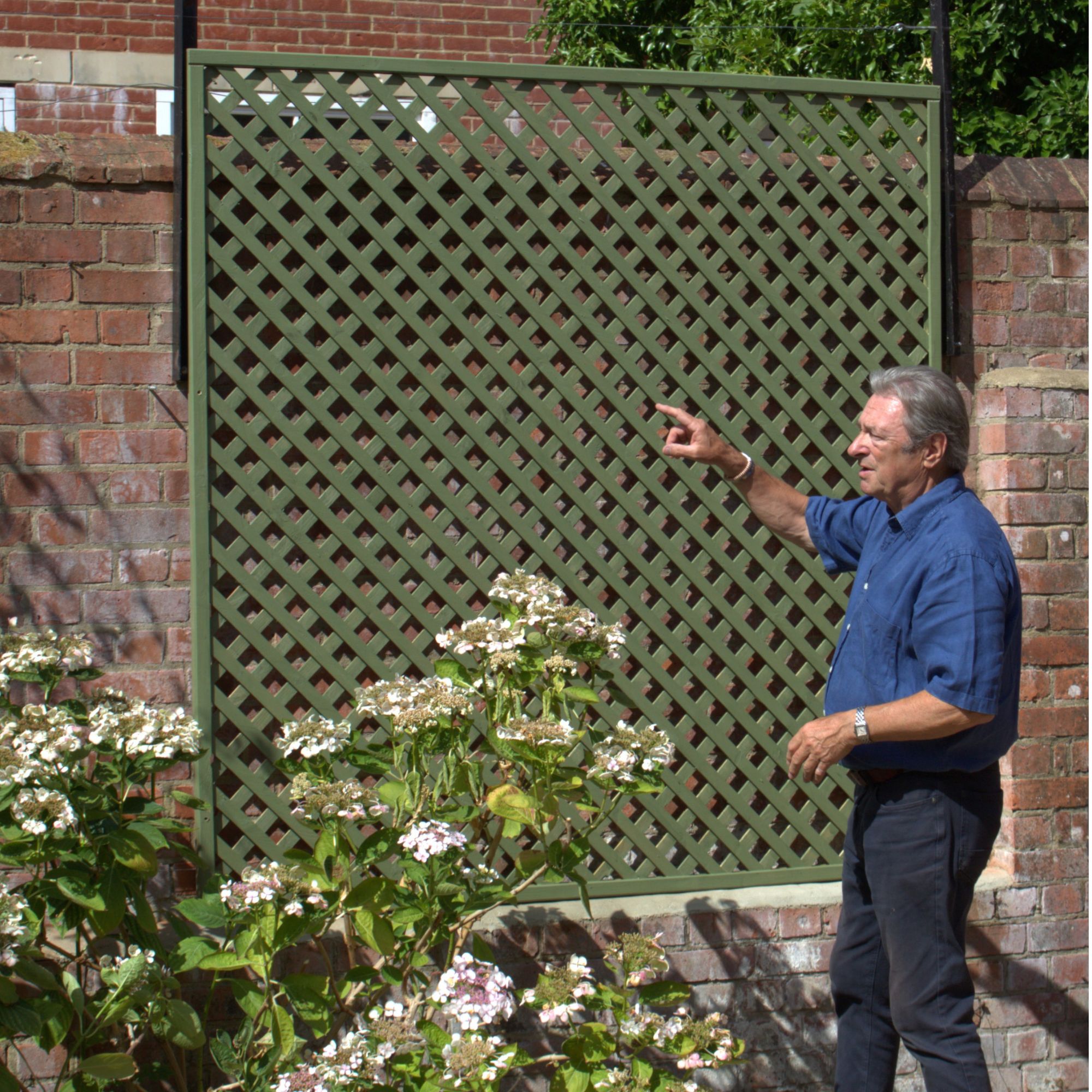 Alan Titchmarsh standing in front of lattice trellis painted Protek Pale Sage