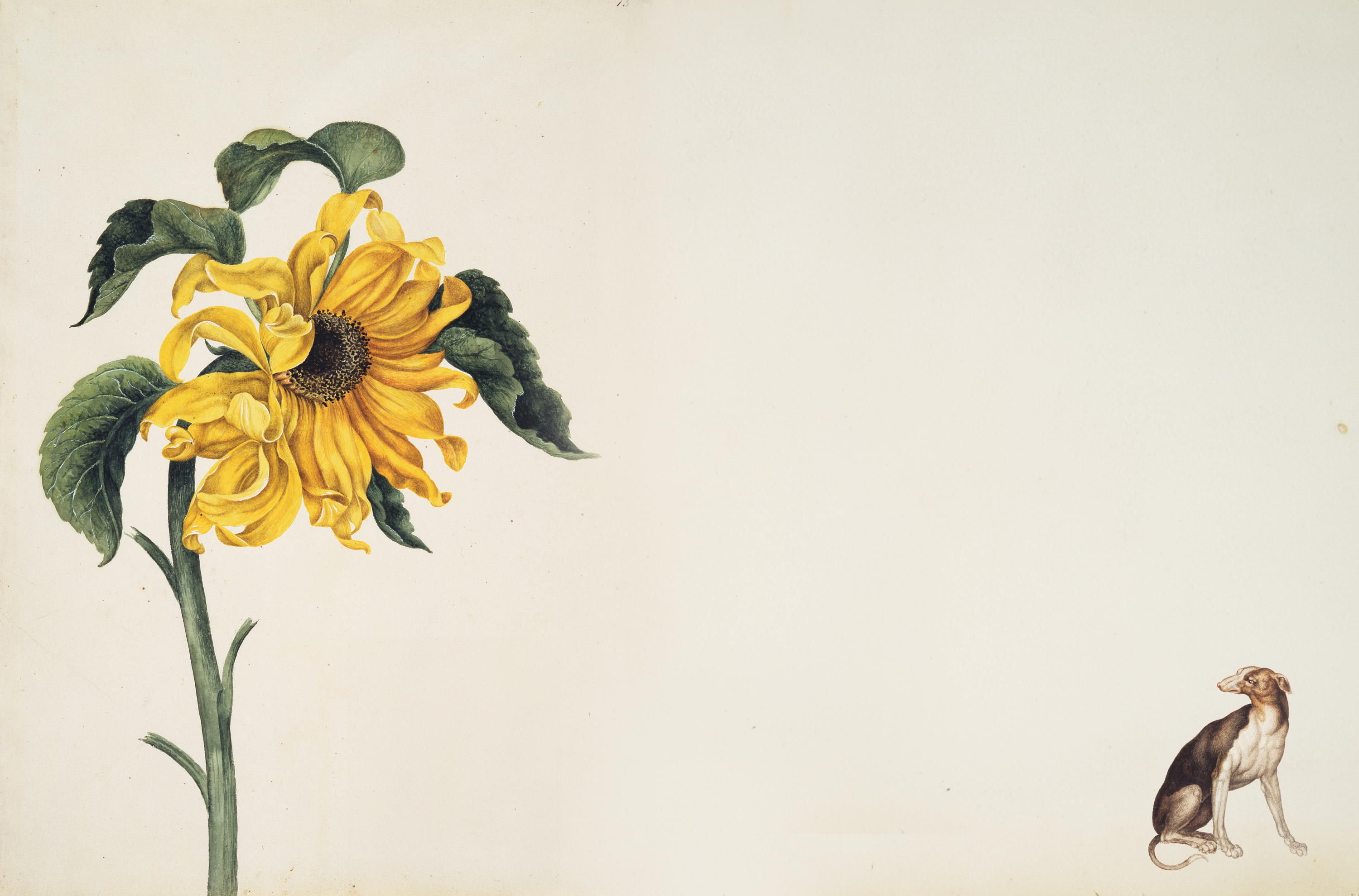 Paintings of Alexander Marshal 