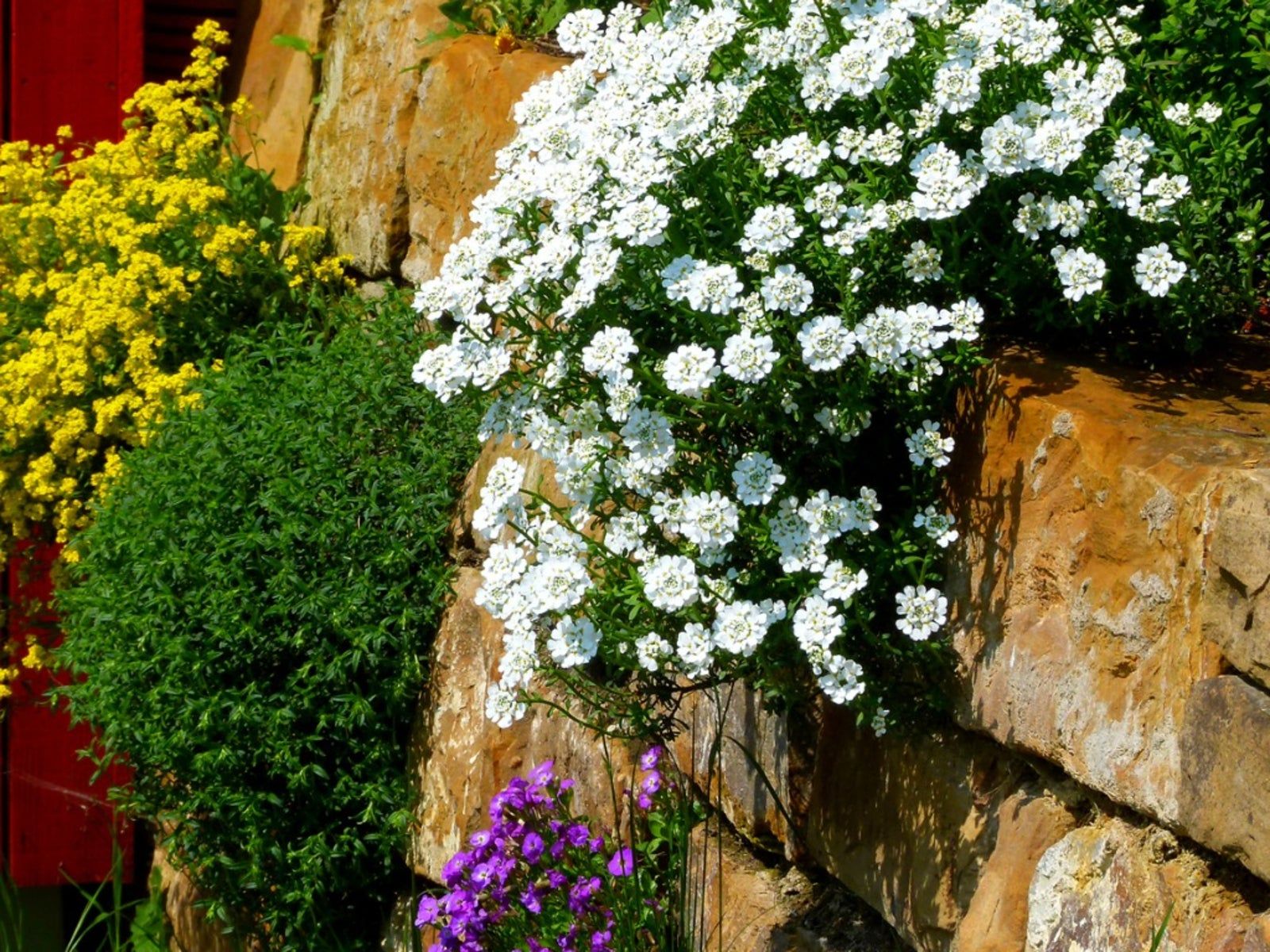Gardening In Retaining Walls: How To Make A Living Stone Wall