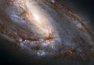 Galaxy M66, captured by Hubble, released April 8, 2010, before the appearance of supernova ASASSN-16fq on May 28, 2016.