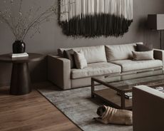 A living room painted in a dark taupe shade