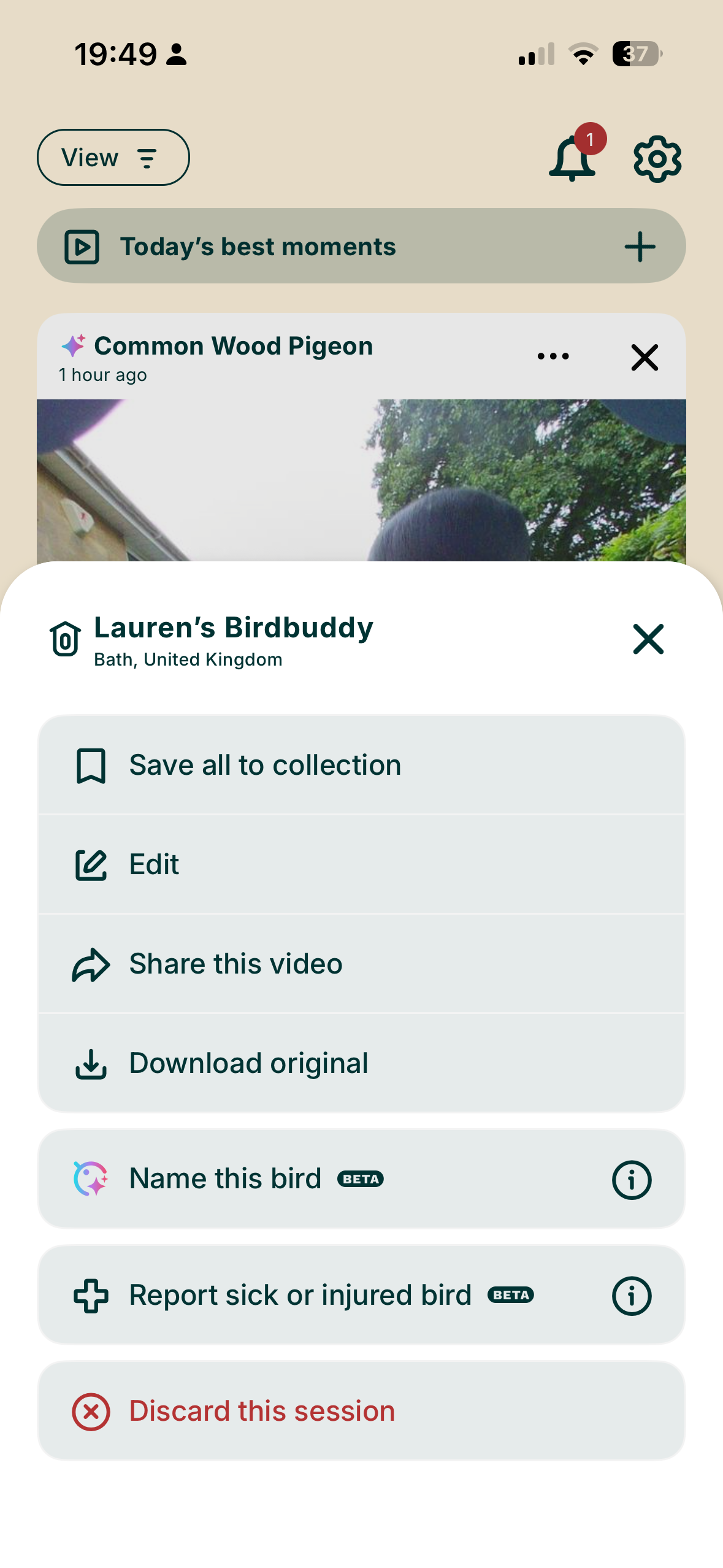 Screenshots from the Bird Buddy app