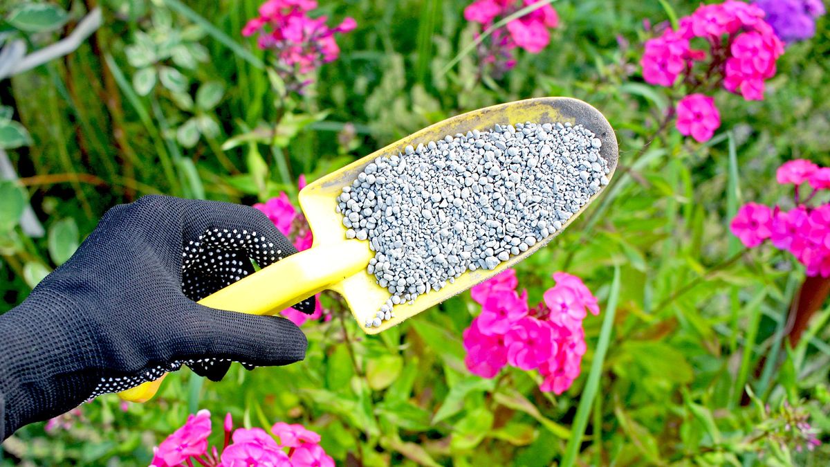 Why Fertilizer Is Suddenly So Expensive – and How Gardeners Are Feeding Plants for Less