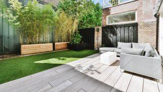 7 plants to create more privacy in your backyard | Tom's Guide