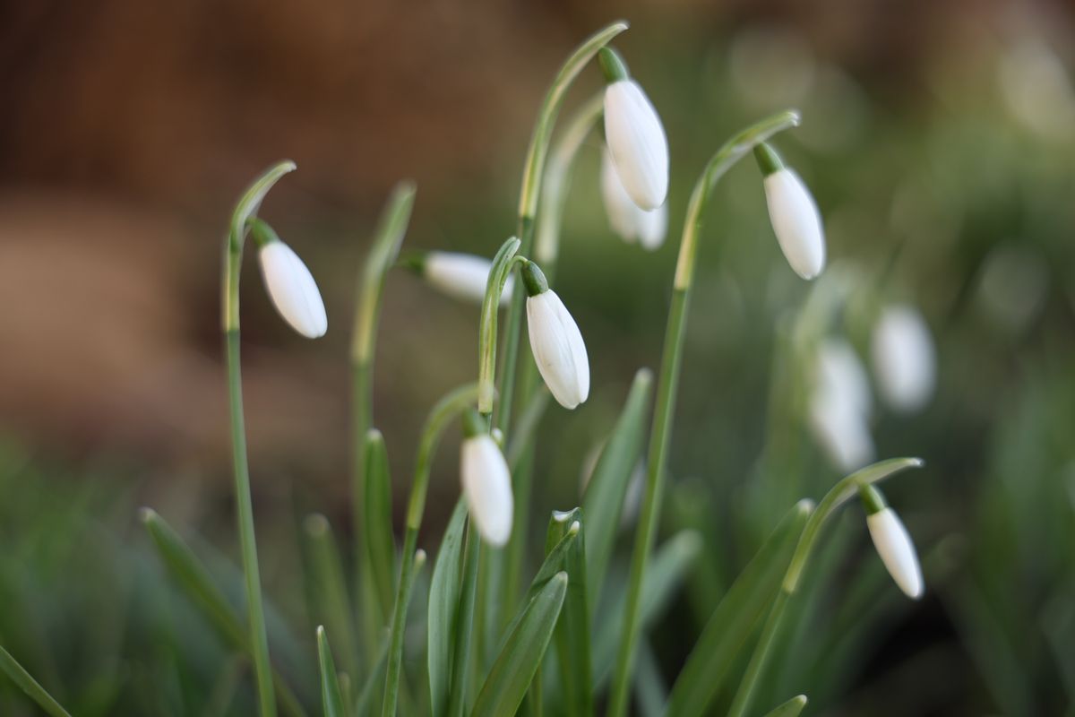 Sample shot taken with Canon RF 28-70mm f/2.8 IS STM and Canon EOS R8