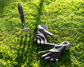 Garden fork and gloves on lawn