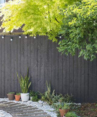 Black garden fence with festoon lights